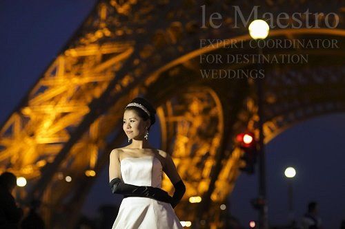 Paris dress (6)
