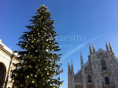 Milano xmas (1)