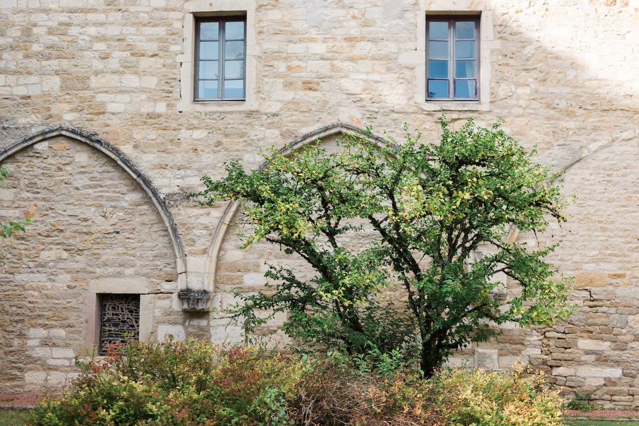 leMaestro_Dijon_20170906_18