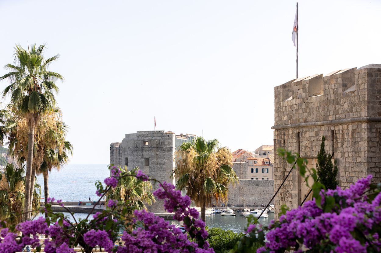 leMaestro_Dubrovnik_20240918_4