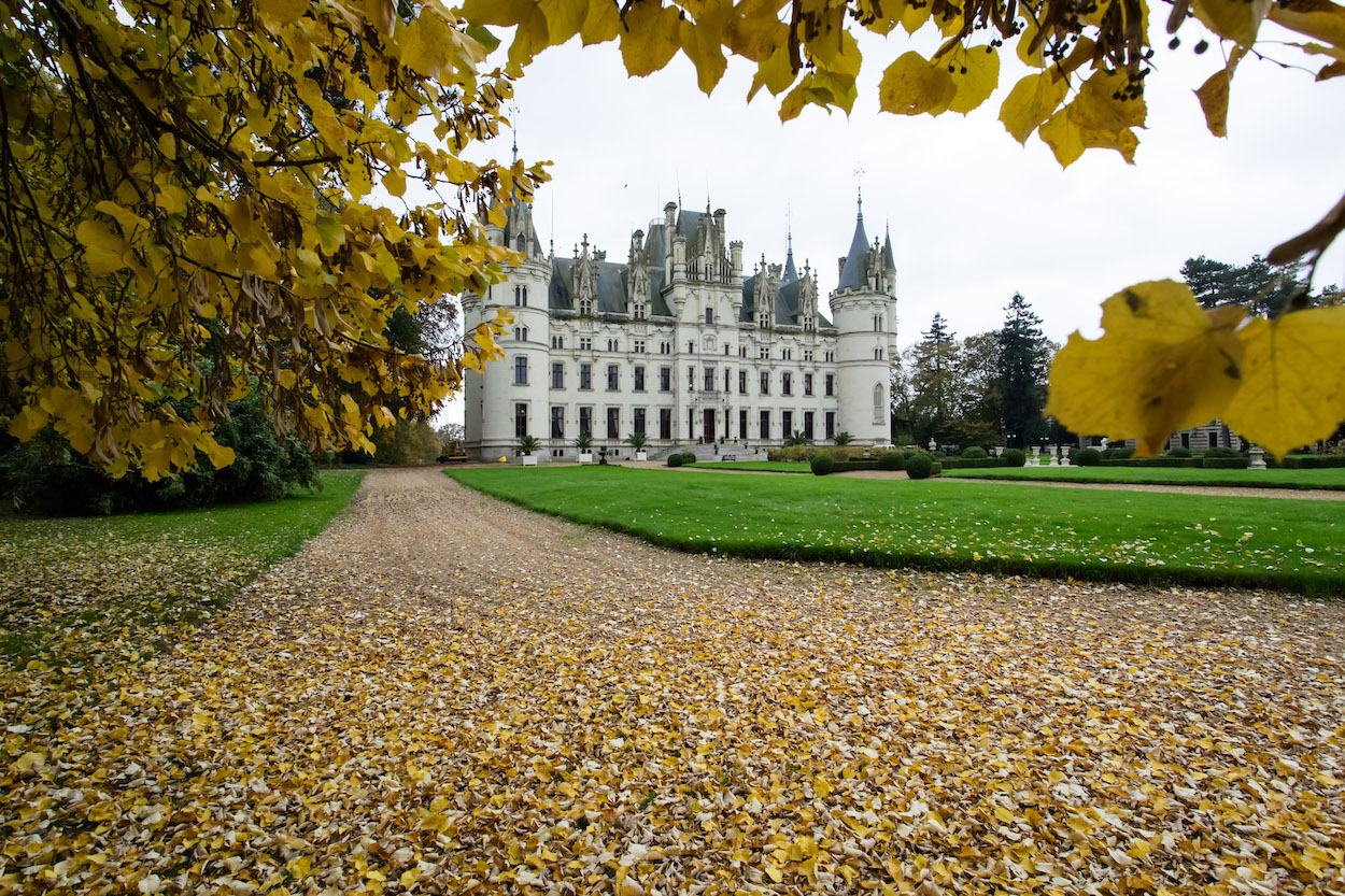 leMaestro_Chateau Challain_20241111_104
