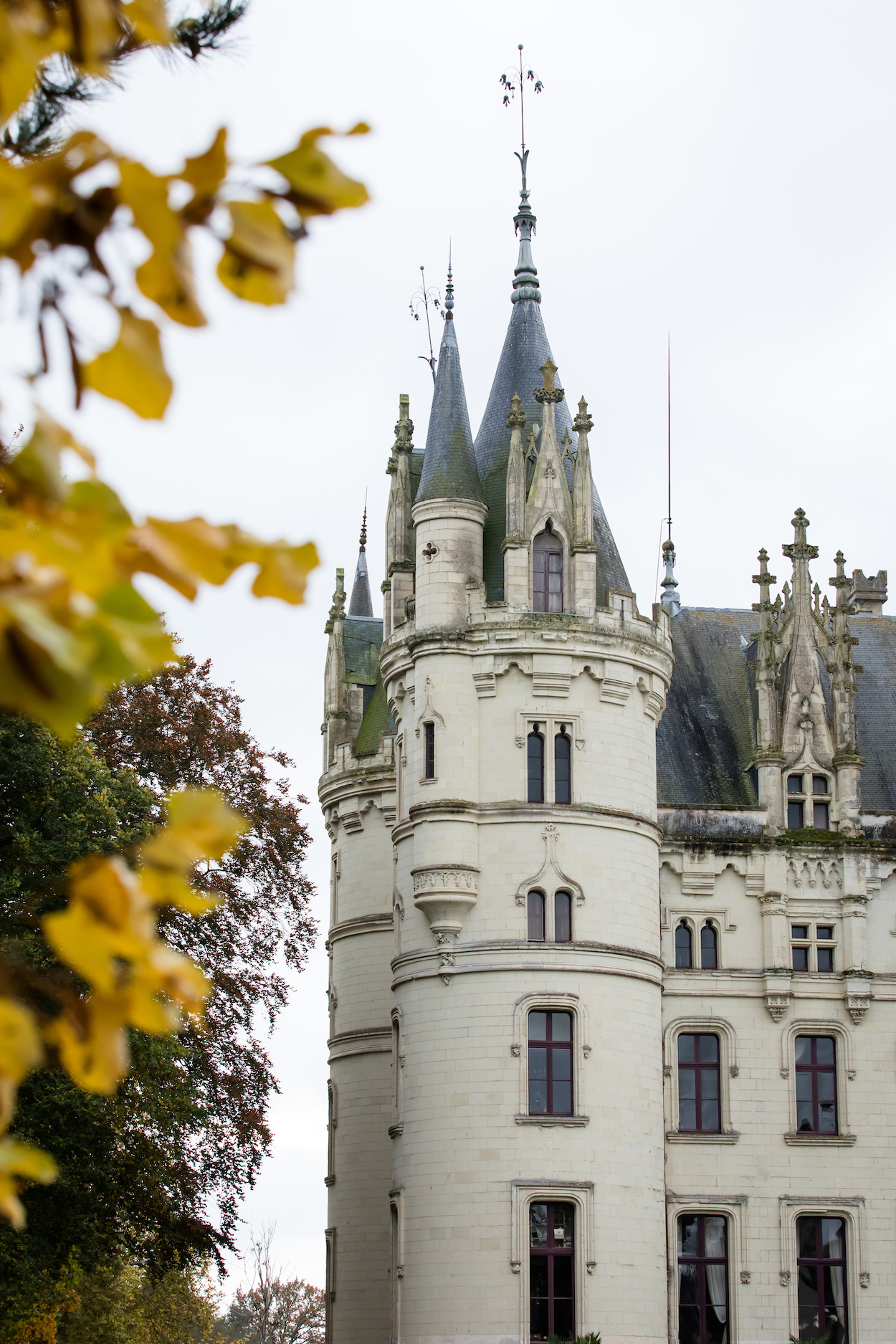 leMaestro_Chateau Challain_20241111_106